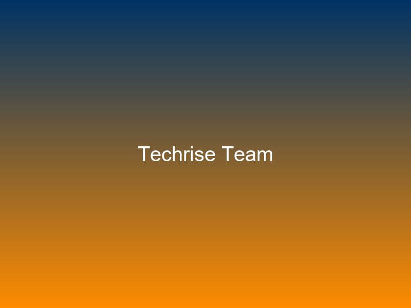 Techrise Consulting Team